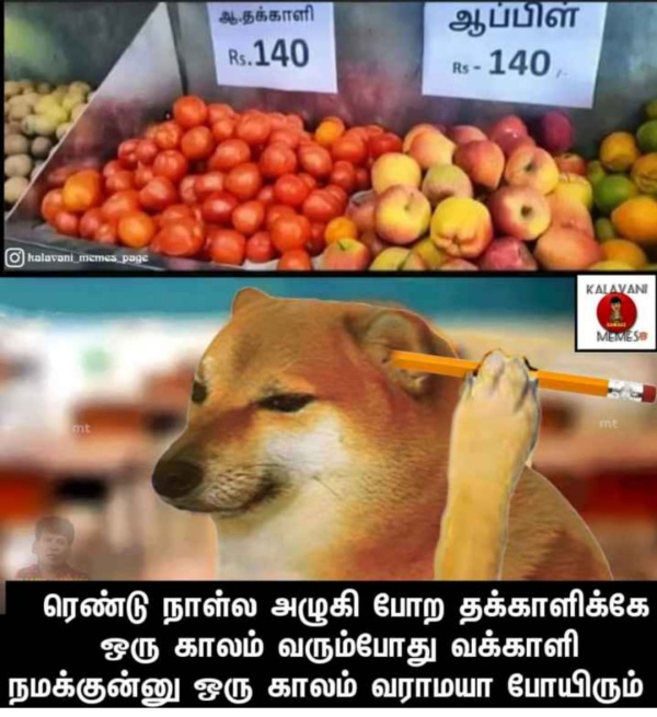 Funny memes collection on tomato price