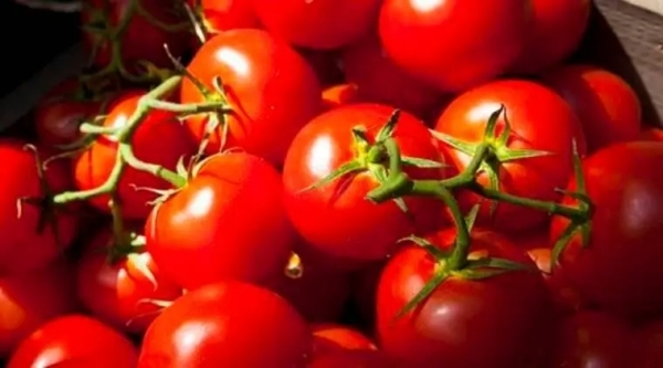 Tomatoe and Onion price slightly down Rs.25, RS.20 respectively per kg at Koyambed Market in Chennai Tomatoe and Onion price slightly down Rs.25, RS.20 respectively per kg at Koyambed Market in Chennai