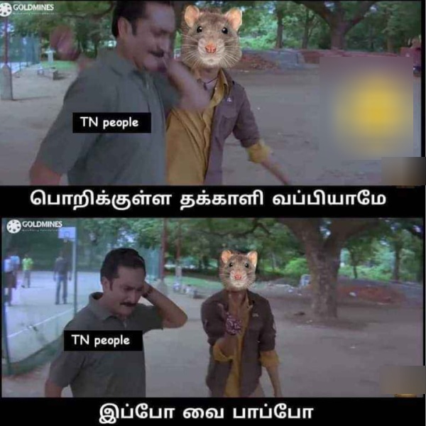 These are some jolly memes collection on tomato price hike 11-07-23