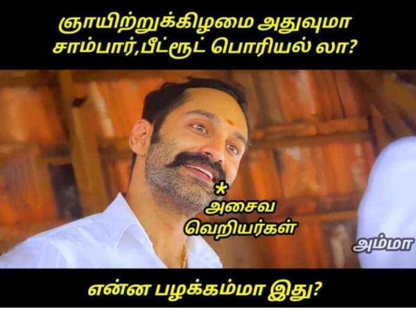 Funny memes collection on sunday routine 30-07-2023