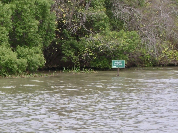 Let look at the Indias largest lagoon in Thanjavur and Thiruvarur - Tamilnadu tour 