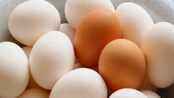 Health Benefits of Eggs do you know Excellent Medicinal Food Egg, Can we eat raw eggs 