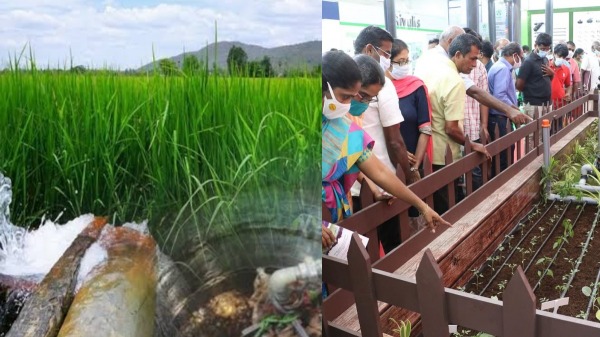 Trichys grand agricultural Exhibition! Government calls to farmers! 