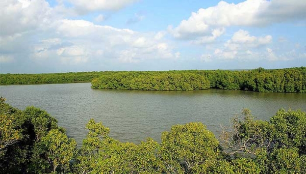 Let look at the Indias largest lagoon in Thanjavur and Thiruvarur - Tamilnadu tour 