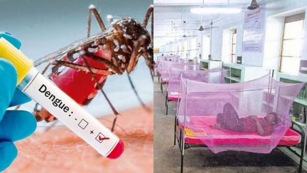  Dengue fever increase in kerala border districts of Tamil Nadu