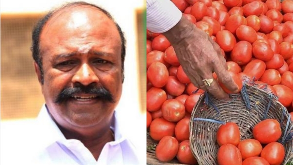 Tomatoes prices may remain same for 10 more days says Tamil Nadu Minister 