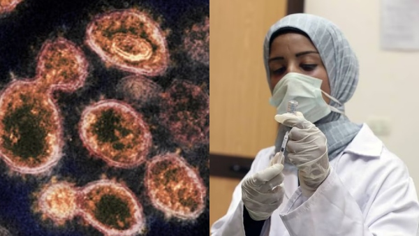 Egypt records Mysterious Virus spreading across the country Egypt records Mysterious Virus spreading across the country