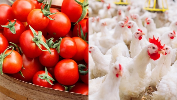 Tomatoes are cheaper than chicken in Hyderabad, Telangana 