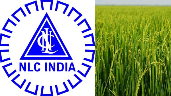 NLC explains about works started in paddy fields in cuddalore district