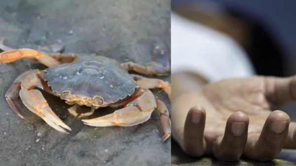 Newly married girl died of eating crab in resort 