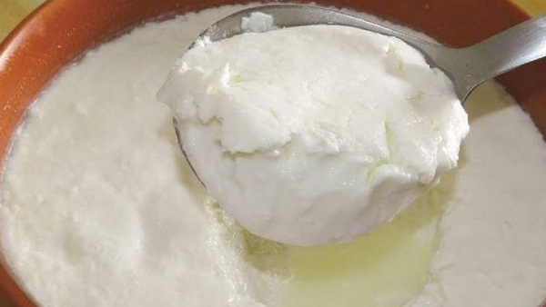 Health Excellent benefits of Curd and do you know Curd is the Best Health food for weight loss