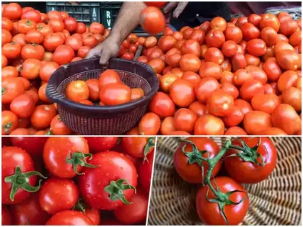  In Chennai, tomato prices rose by Rs 10 to Rs 110 per kg 