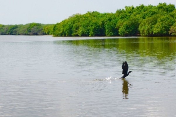 Let look at the Indias largest lagoon in Thanjavur and Thiruvarur - Tamilnadu tour 