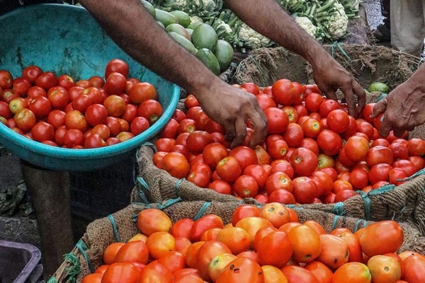 Tomatoe price slightly increases Rs.10 per kg at Koyambed Market in Chennai Tomatoe price slightly increases Rs.10 per kg at Koyambed Market in Chennai
