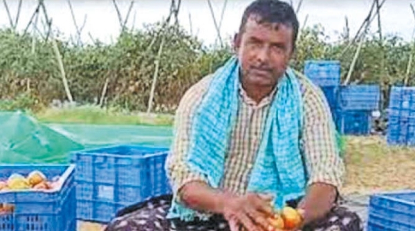 Andhra tomato farmer who earned Rs 4 crore in 45 day, secret he happily shared about his income Andhra tomato farmer who earned Rs 4 crore in 45 day, secret he happily shared about his income
