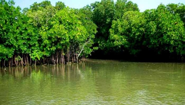 Let look at the Indias largest lagoon in Thanjavur and Thiruvarur - Tamilnadu tour 