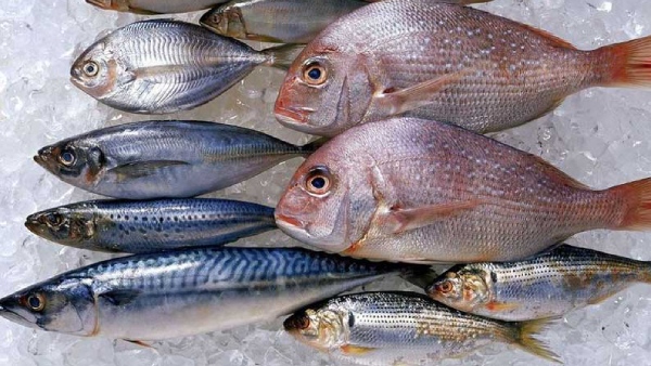 If you know the price of this product, You may lose your temper amid the rice in Tomato price If you know the price of this product, You may lose your temper amid the rice in Tomato price