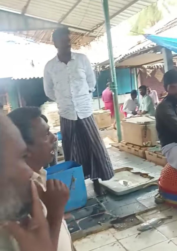 Only 3 fishes sold for Rs.16,000 in Adirampattinam - What is netti? Only 3 fishes sold for Rs.16,000 in Adirampattinam - What is netti?