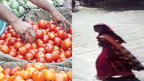 Wife leaves from home after fighting with husband over tomatoes usage for cooking in Madhya Pradesh Wife leaves from home after fighting with husband over tomatoes usage for cooking in Madhya Pradesh