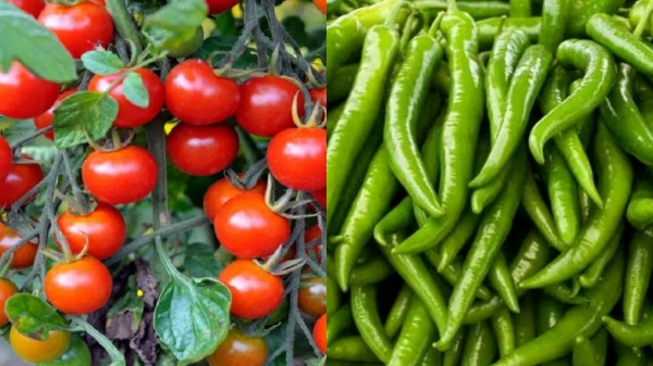 Onion prices are very high in Tamilnadu Onion prices are very high in Tamilnadu