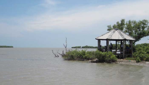 Let look at the Indias largest lagoon in Thanjavur and Thiruvarur - Tamilnadu tour 