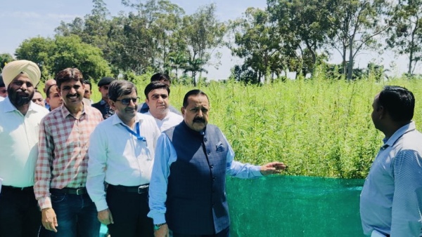 Jammu to pioneer Indias first Cannabis Medicine Project: Union Minister Jitendra Singh Jammu to pioneer Indias first Cannabis Medicine Project: Union Minister Jitendra Singh