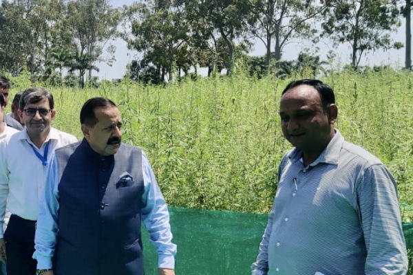 Jammu to pioneer Indias first Cannabis Medicine Project: Union Minister Jitendra Singh Jammu to pioneer Indias first Cannabis Medicine Project: Union Minister Jitendra Singh