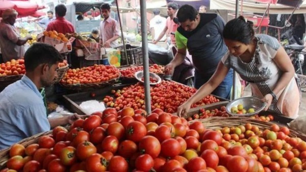  Dindigul trader surprised by selling tomatoes in bulk and selling them for 60 rupees per kg 