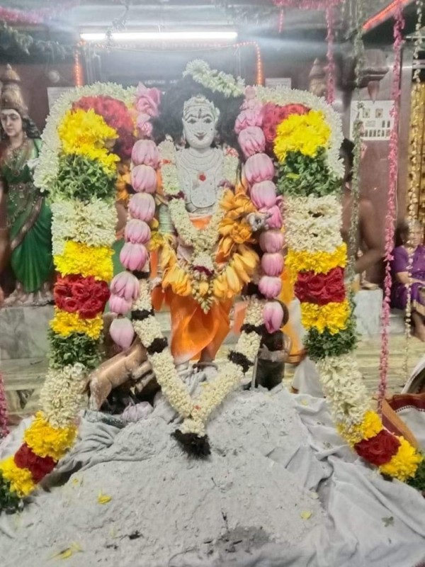 Karaikal celebrate Mangani festival today Karaikal ammaiyar celestial wedding 