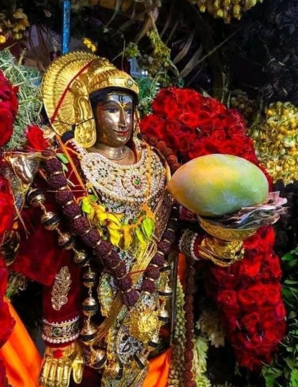 Karaikal Mangani festival lakhs of Devotees prayer put mangoes lord siva 