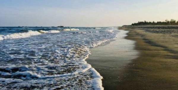 A famous beach in Chennai suddenly turns black: What really happened? 