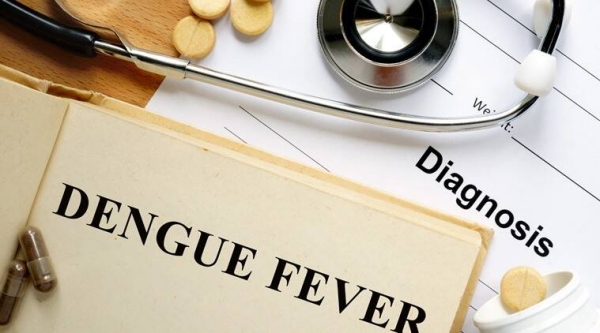  Dengue fever spread in Tamil Nadu public health department instructions 