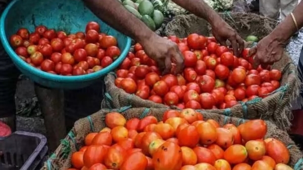  Good news for restaurants goers: Tomatoes and other vegetables prices are going down 