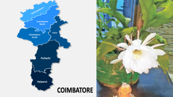 Health news Nishagandhi Flower that blooms only once a year what are the Health Benefits of Bethlehem Lily