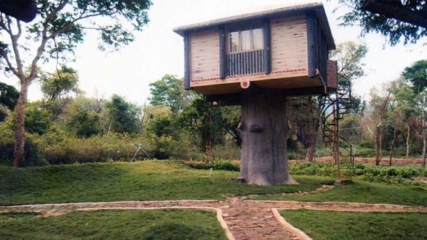 Best spot for one trip from Coimbatore - How to go to Kovai Courtallam? 