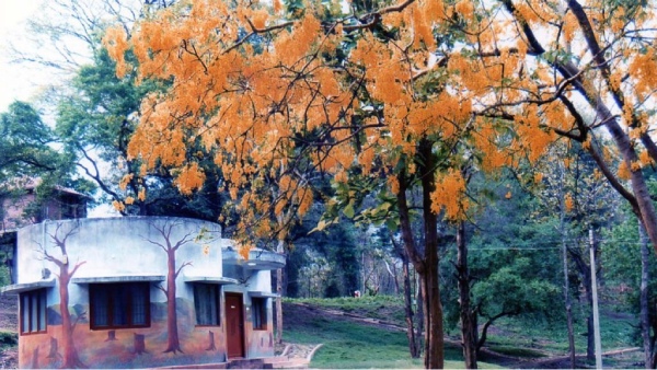 Best spot for one trip from Coimbatore - How to go to Kovai Courtallam? 