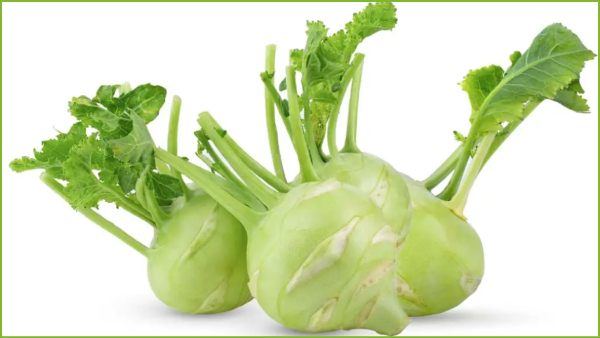 Health Medicinal uses of Noolkal and Do you know Turnip is the Excellent vegetable for Weight Loss Health Medicinal uses of Noolkal and Do you know Turnip is the Excellent vegetable for Weight Loss