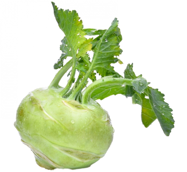 Health Medicinal uses of Noolkal and Do you know Turnip is the Excellent vegetable for Weight Loss Health Medicinal uses of Noolkal and Do you know Turnip is the Excellent vegetable for Weight Loss