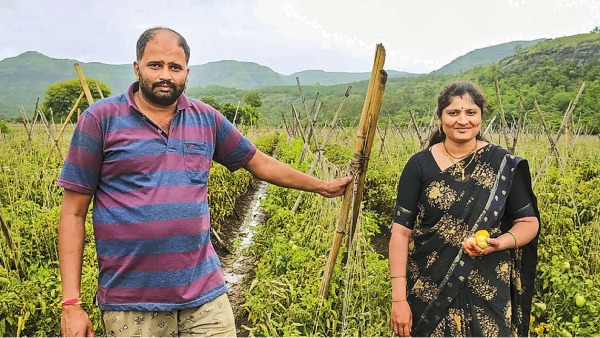How a tomato farmer earned 3 crores in a single month? The secret told by him 