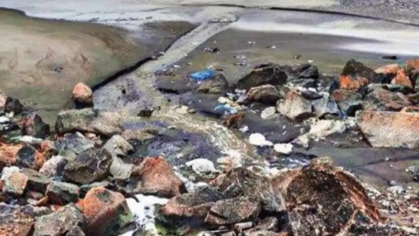 North Chennai sea has turned black due to sewage mixing with sea water