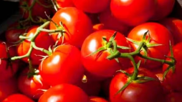 Minister Periyakaruppan holds a meeting regarding tomato price hike Minister Periyakaruppan holds a meeting regarding tomato price hike