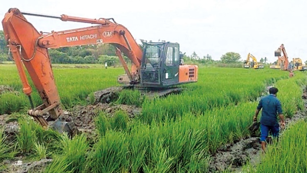 NLC company to file an affidavit regarding compensation for damaged crops on land acquired : HC NLC company to file an affidavit regarding compensation for damaged crops on land acquired : HC