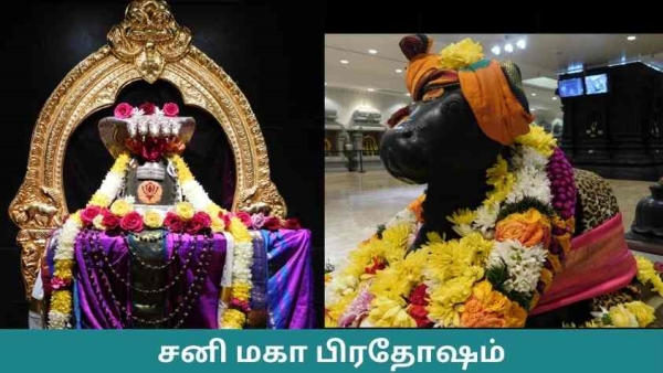 Sani Pradosam and Sivarathiri Viratham and benefits remove debit issue