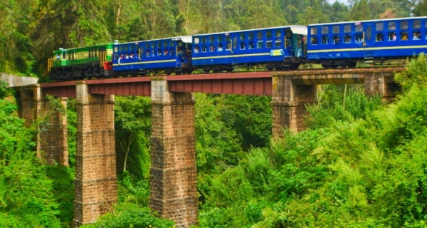 Mettupalayam to Ooty Special Mountain Train extended till August end, tourists happy 