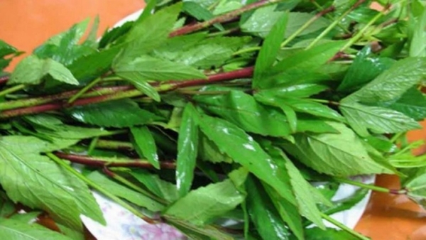 Health Benefits of Pulicha Keerai and Do you know Pulicha Keerai is the Best food for men