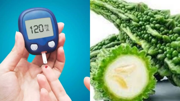 Health Amazing benefits of Bitter Gourd and can diabetics eat Bitter Gourd to lower blood sugar levels Health Amazing benefits of Bitter Gourd and can diabetics eat Bitter Gourd to lower blood sugar levels
