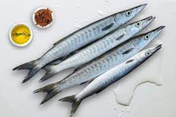 Health Specialities of Sheela Fish and Do you know what are the top 10 Health uses of Cheela Fish 