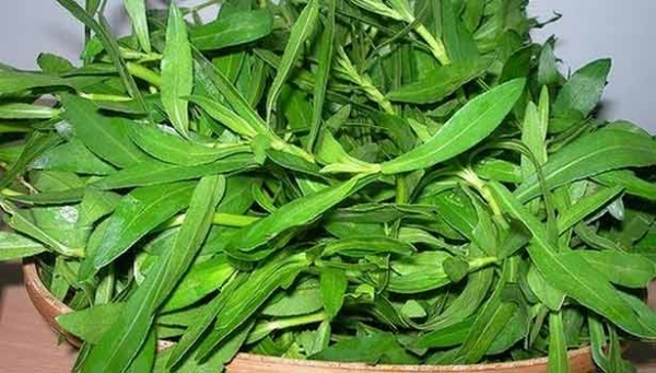 Do you know the Health benefits of Ponnanganni leaves? 