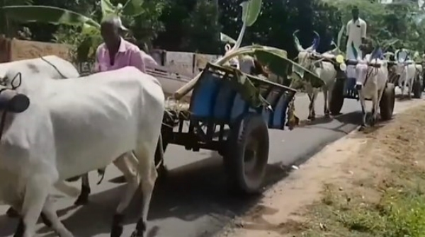 Thai Maman Seer : big gifts given by Thai Mamans in Pudukottai district in Kathani ceremony 