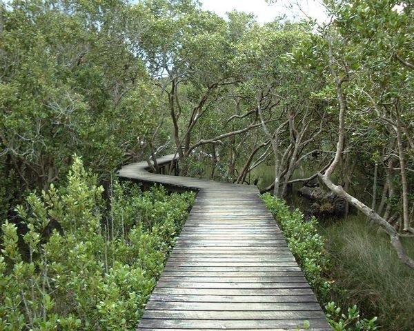 Let look at the Indias largest lagoon in Thanjavur and Thiruvarur - Tamilnadu tour 